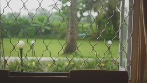 view of the garden behind the window grating