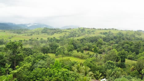 Aerial-shot-over-the-green-lush-Caribbean-vegetation-of-dulce-river-in-Guatemala