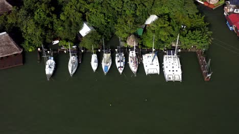 Tall-vertical-masts-of-moored-luxury-yachts-towering-above-tree-line