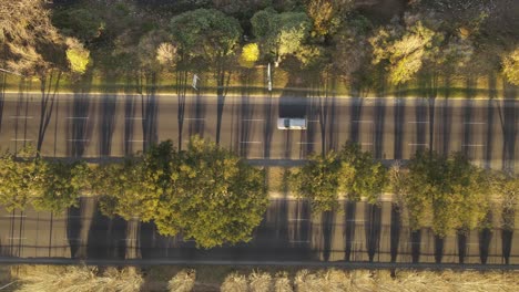 top down aerial view of cars on boulevard during sunset