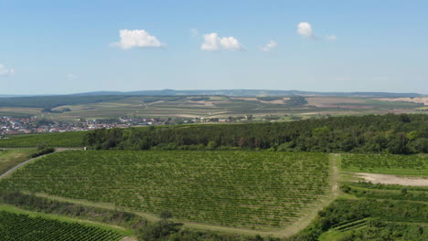 Countryside-town-of-Valtice-in-Moravian-lowlands,-drone-shot