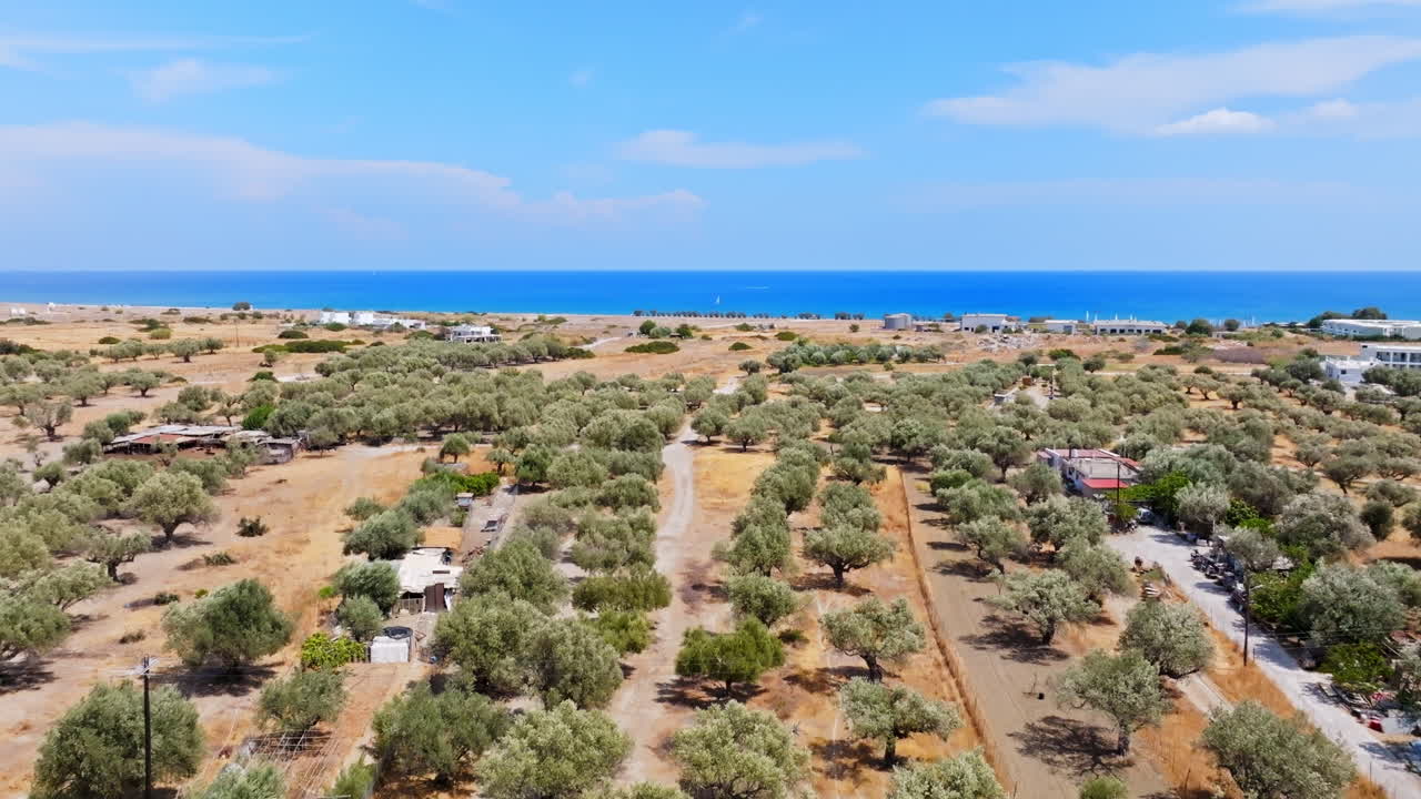 Aerial view over olive trees and houses on the coast of Greece, sunny, summer day