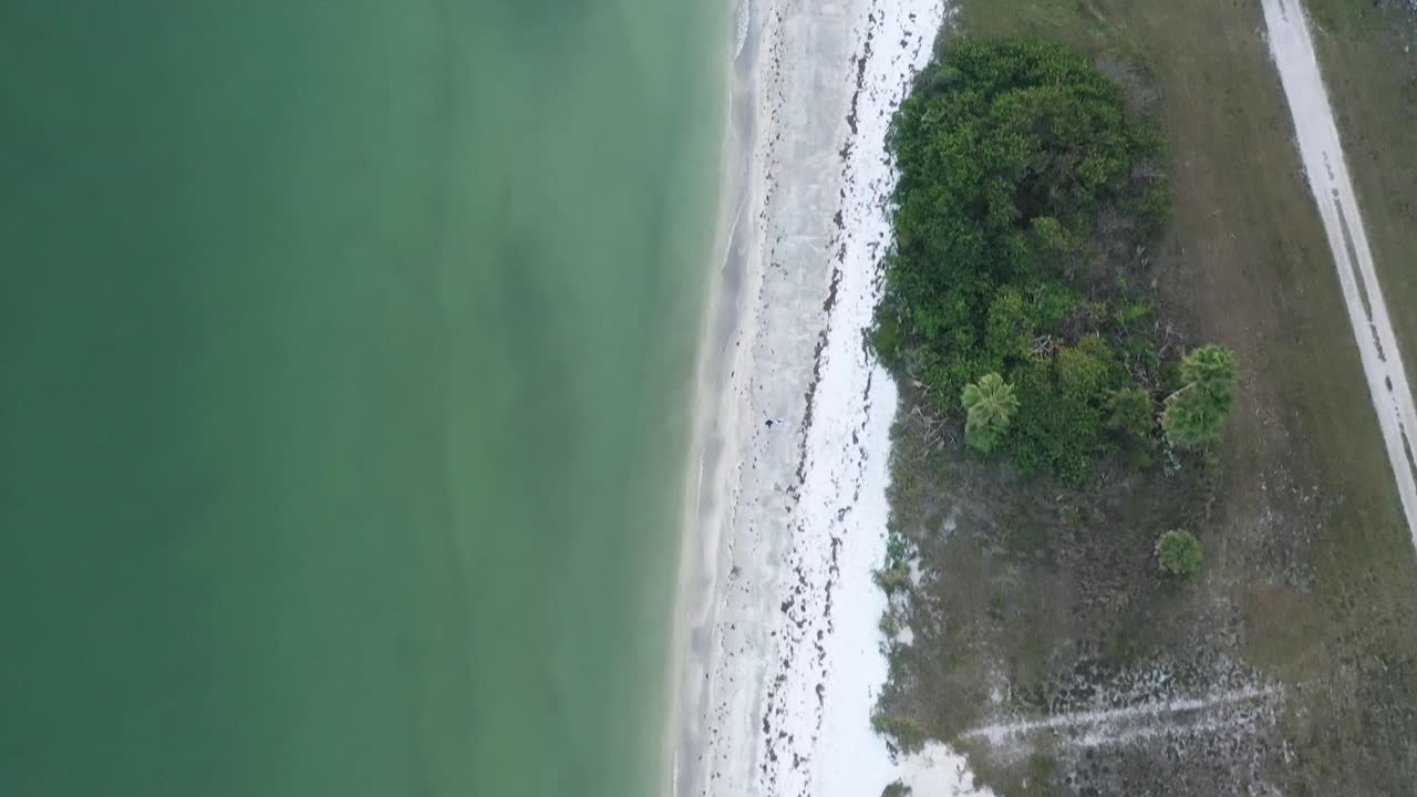 Aerial View of a Tropical Beach with Green Water and White Sand