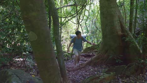 asian hiker male with a backpack hiking in the forest