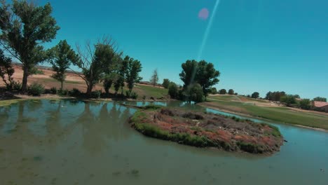 A-fast-and-daring-flight-at-low-altitude-through-a-park-with-ponds-and-between-trees