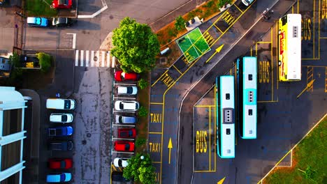 top down overhead aerial view of taxi parking space with parked buses and cars