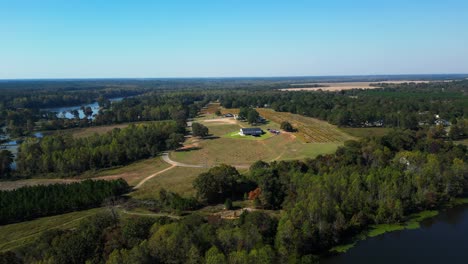 expansive aerial view of a vineyard wedding venue, featuring surrounding fields, vineyard rows, and a nearby river. captured with a wide drone shot to showcase the natural beauty and rural setting
