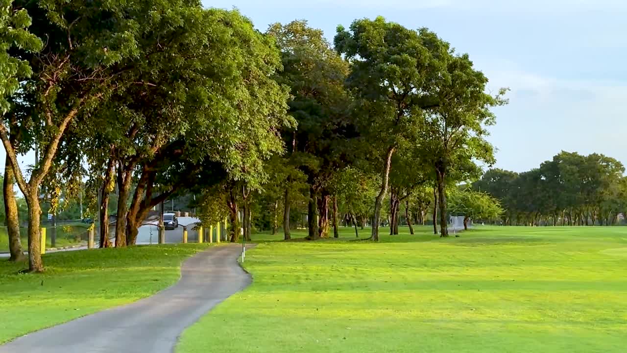 A winding path bordered by trees, stretching across vibrant green fields under a clear sky.