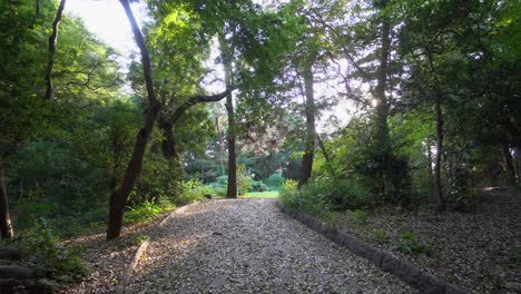 Tokios-Shakuji-park-Ist-Voller-Schöner-Pfade,-Auf-Denen-Man-An-Sommernachmittagen-Spazieren-Gehen-Kann