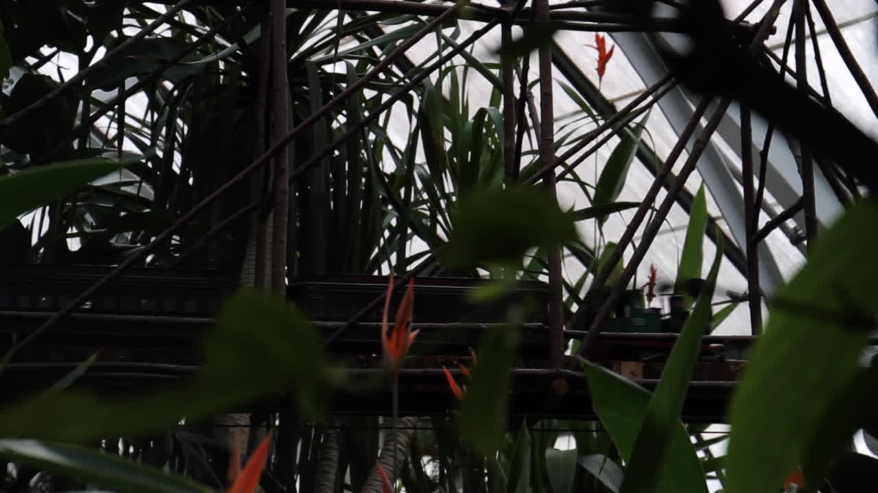 tren en miniatura pasa por un puente de madera y flores en el ferrocarril