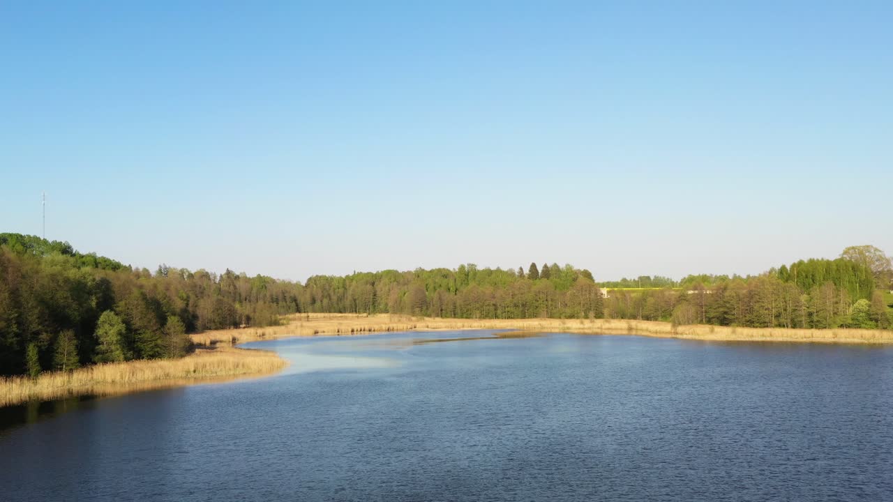 중앙 유럽의 푸른 숲이 있는 호수의 조용한 드론 비디오