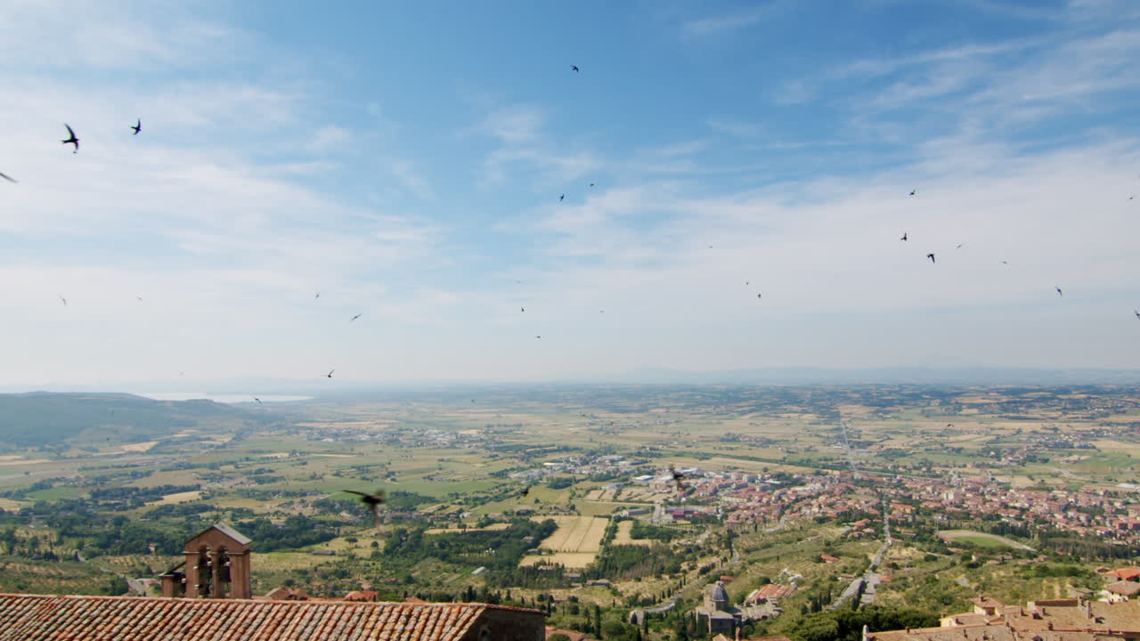 Aerial view over Tuscany natural italian vineyard hills landscape, during a sunny day of spring with wild flock of birds flying in the sky