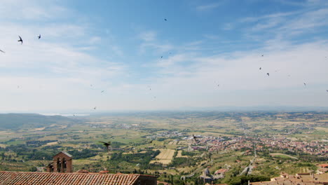 Luftaufnahme-über-Die-Toskanische-Natürliche-Italienische-Weinberghügellandschaft,-An-Einem-Sonnigen-Frühlingstag-Mit-Wildem-Vogelschwarm,-Der-In-Den-Himmel-Fliegt