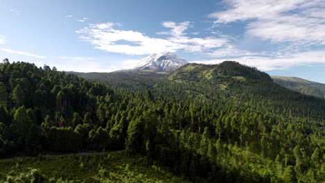 toma de primer plano de drones del bosque circundante del parque nacional del volcán popocatepetl