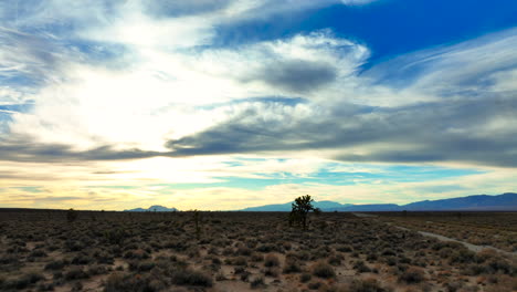 Los-árboles-De-Joshua-Y-La-Vegetación-Baja-Prosperan-En-El-Desierto-De-Mojave---Vista-Aérea-Deslizante-De-La-Colorida-Puesta-De-Sol