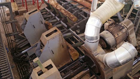power-saw bench. process of cutting logs at woodworking plant. modernized technology on a sawmill. top view.