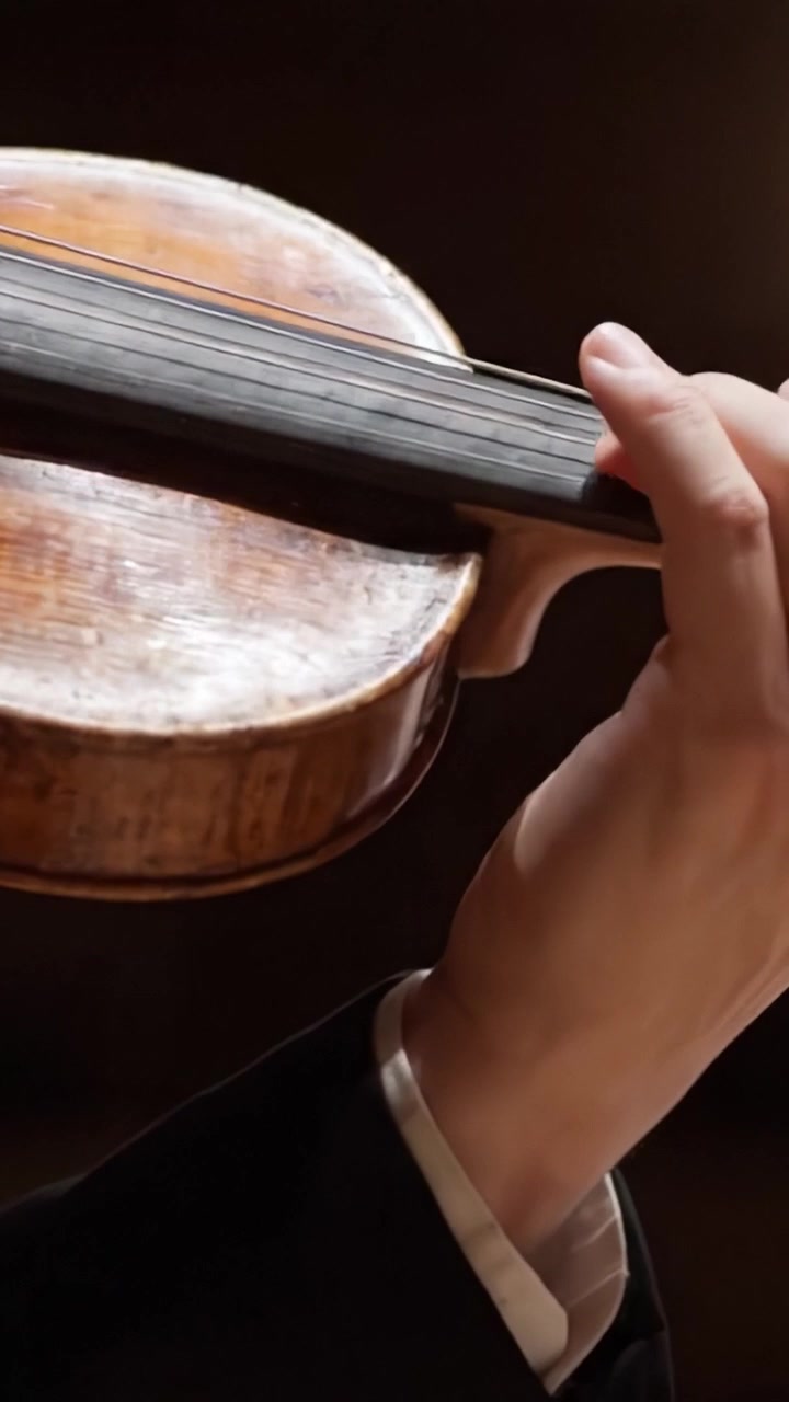 The Art of Violin Playing: Captivating Moments in a Performance Showcasing the Intricate Techniques of a Skilled Musician's Hand on the Instrument