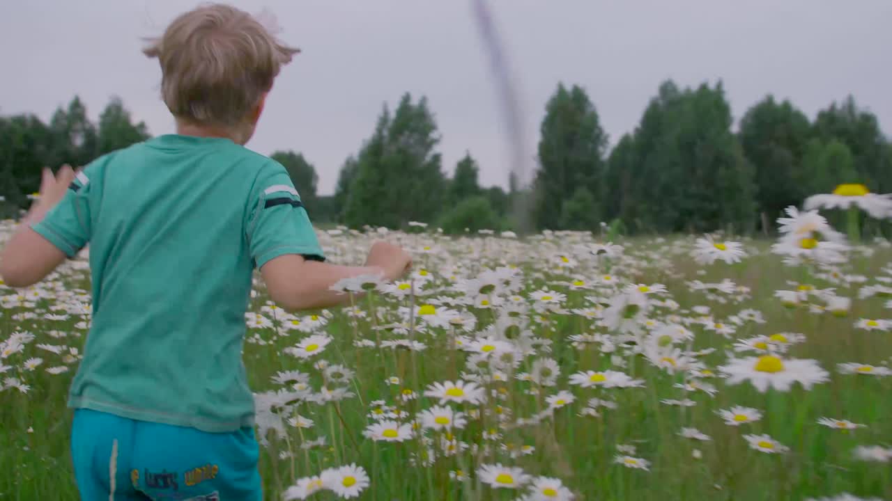 데이지 들판 을 가로질러 달리는 소년