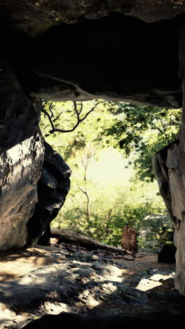 sunlight streaming into a dark cave in a lush forest