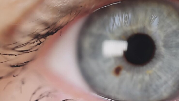Macro Close Up View Of Blue Eye Looking Directly At Camera