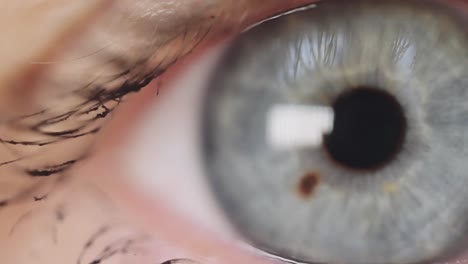 Macro-Close-Up-View-Of-Blue-Eye-Looking-Directly-At-Camera