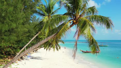 wunderschöne palmen mit kokosnusskernen, die sich über den weißen sand eines exotischen strandes beugen, der von einer türkisfarbenen lagune mit verankerten booten in thailand umspült wird