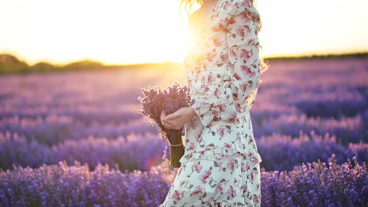 Beautiful woman walking through a lavender field, touching the flowers and smiling as the sun sets