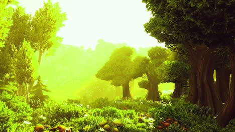 bosque verde exuberante iluminado por la luz dorada del sol durante las horas del día