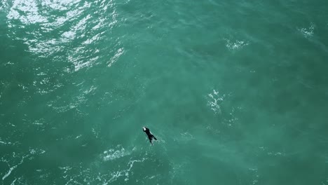 Surfer-Schwimmt-Durch-Unruhige-Wellen