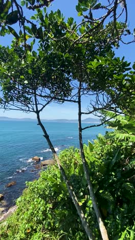 Tropical-view-of-the-Caribbean-Sea-through-lush-green-trees-on-a-sunny-day-in-Cartagena,-Colombia