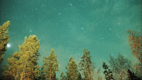 Lapso-De-Tiempo-De-Estrellas-Nocturnas-En-El-Bosque-Boreal.