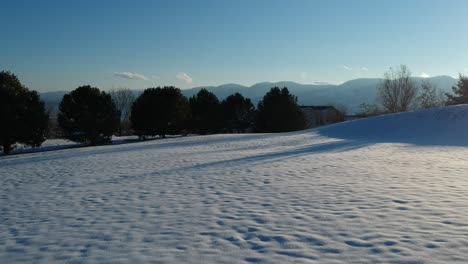 A-quick-flight-over-fresh-snow