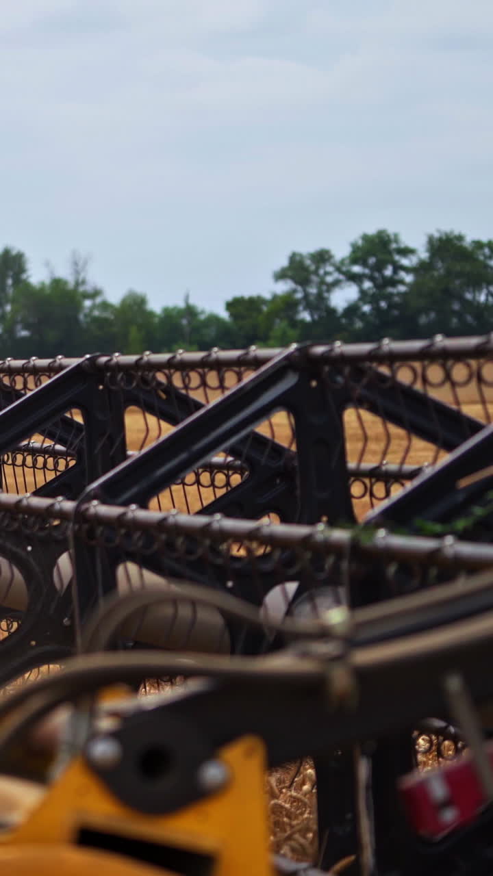 Huge mower mechanism cuts the wheat. Harvesting shears at work. Cloud of dust mixed with grains and straw coming out of massive wheels. Vertical video
