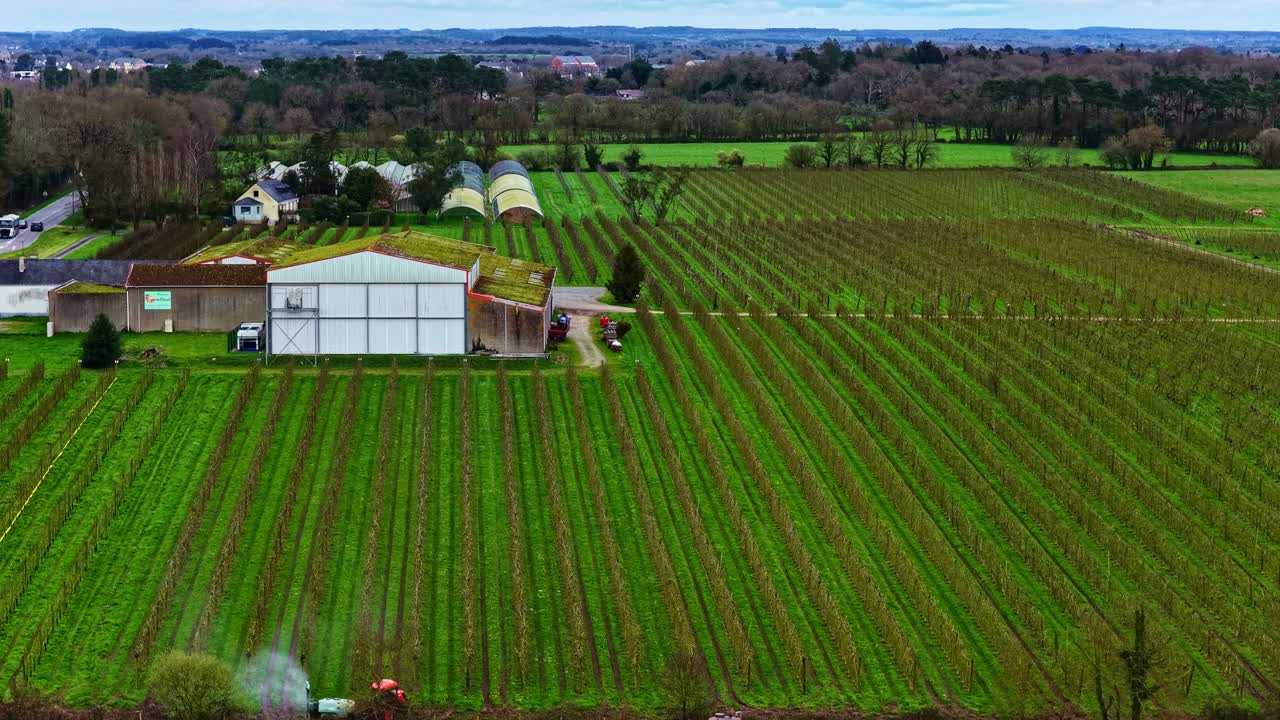 En traktor sprøjter afgrøder i en vingård med pæne rækker, omgivet af landbrugsbygninger og drivhuse. Ideel til landbrugskampagner eller artikler om landliv.