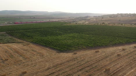 viñedos y vías de tren en el paisaje rural