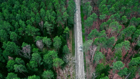 imágenes de drones de un coche blanco conduciendo a través del bosque