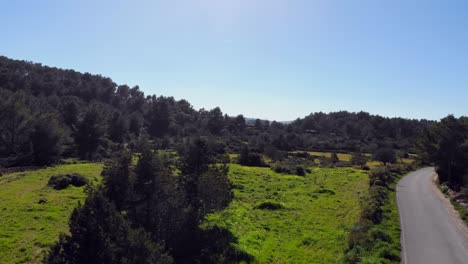 Drone-Disparado-Por-Un-Pequeño-Campo-Cerca-De-Una-Carretera-En-Ibiza