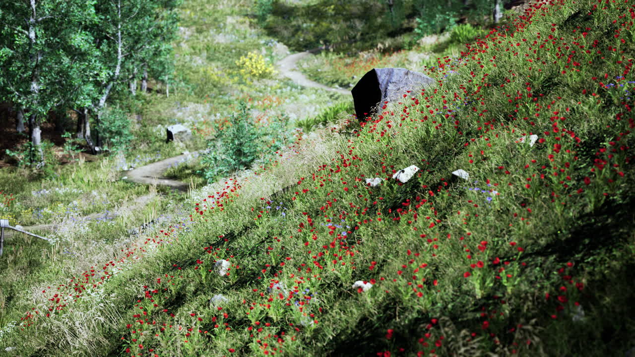 Beautiful view of idyllic alpine mountain scenery with blooming meadows