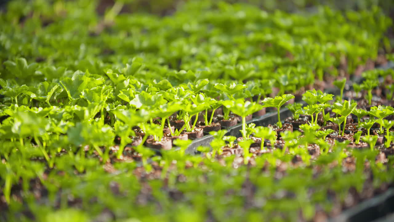 화분을 조사하는 젊은 여성 식물학자 5