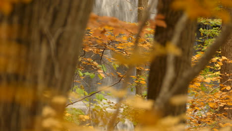 Powerful-waterfall-behind-beautiful-dense,-orange-foliage