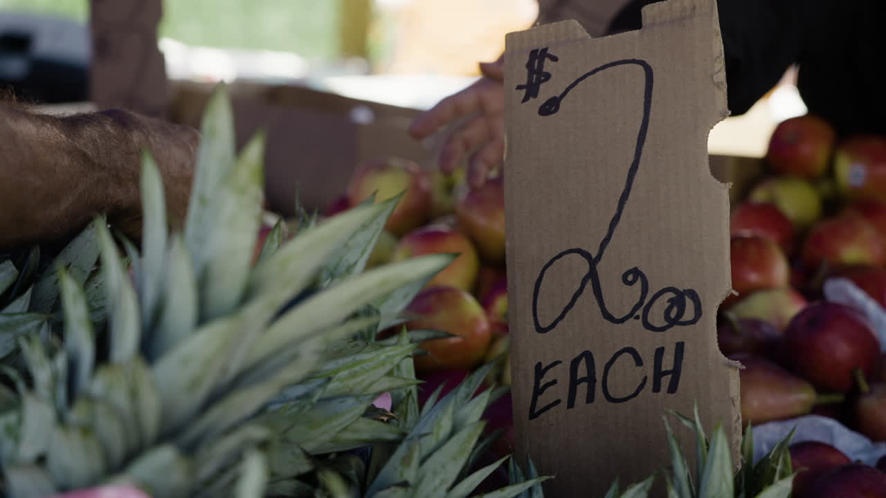 Slow motion shot of fresh fruit and prices at a farmers market in downtown Boston
