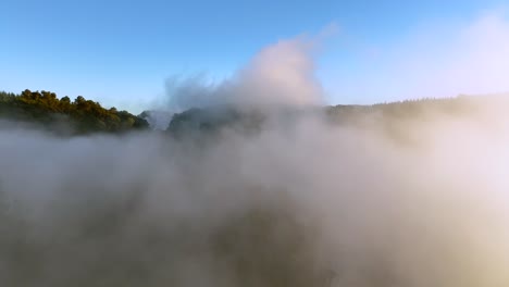 drone emerges through clouds, drone slowly flying over geothermal landscape. trees, steam, bubbling mud and steam. alien landscape. sci-fi. global warming