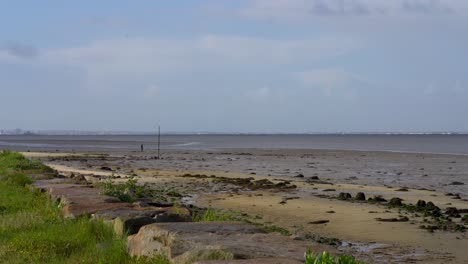 One-fisherman-far-away,-low-tide-Ria-de-Aveiro-lagoon,-Murtosa,-Portugal