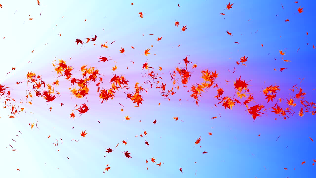 다채로운 메이플과 잎에서 나온 소용돌이, 가을 잎의 나선형 반이는 입자, 춤추는 잎, 다채로운 자연 터널 루프 애니메이션.