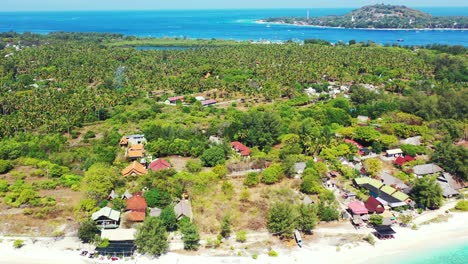 The-lush-and-vibrant-green-flora-of-the-tropical-and-ideal-holiday-location-of-Cook-Islands