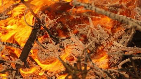 burning pile of branches in closeup - red and orange fire flames