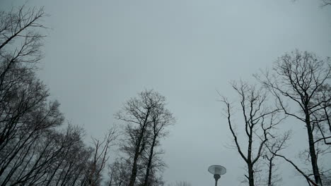 spinning-shot-of-tall-frozen-trees-with-cloudy-sky-in-a-very-cold-winter,-slowmo