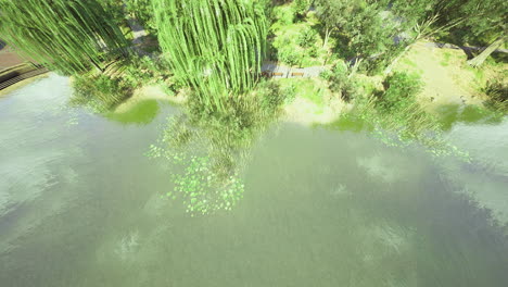 lush greenery and tranquil waters in a serene natural landscape during daytime