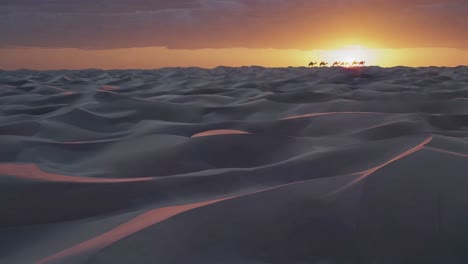 majestuosos camellos atraviesan las onduladas dunas de arena mientras el sol se sumerge bajo el horizonte, proyectando un caloroso y dorado resplandor sobre el paisaje desértico