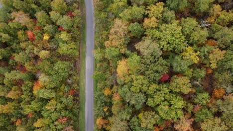 Vista-Aérea-De-Una-Carretera-Rural-En-El-Sur-De-Francia-A-Través-De-Un-Bosque-De-árboles-Con-Increíbles-Colores-De-Otoño